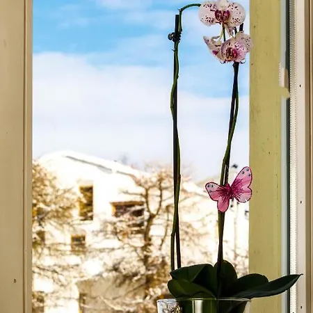 Zentrum Haus 3* Davos