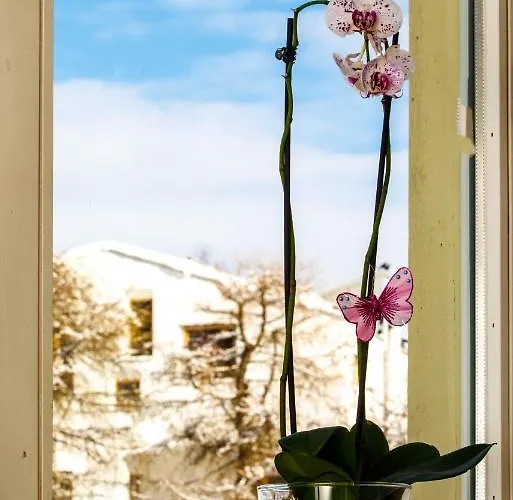 Zentrum Haus 3* Ostrava