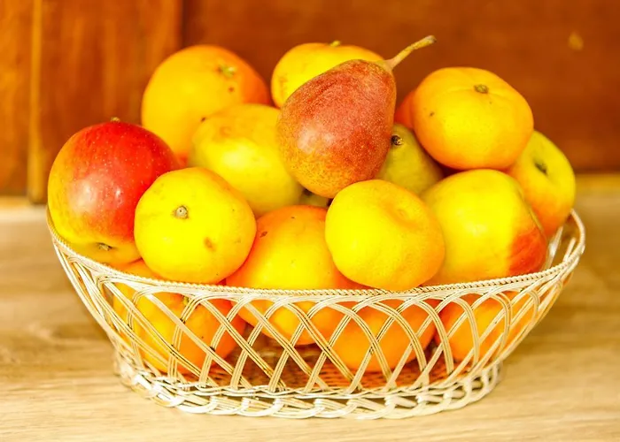 Han/Misafirhane Zentrum Haus