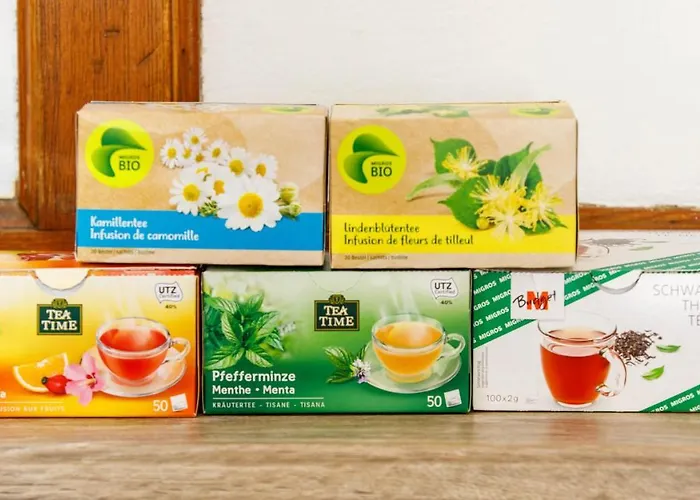 Zentrum Haus Ostrava